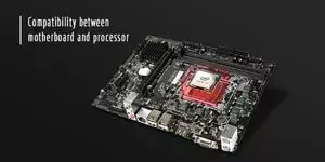 How to Know If A Processor is Compatible with A Motherboard (100% Workable)