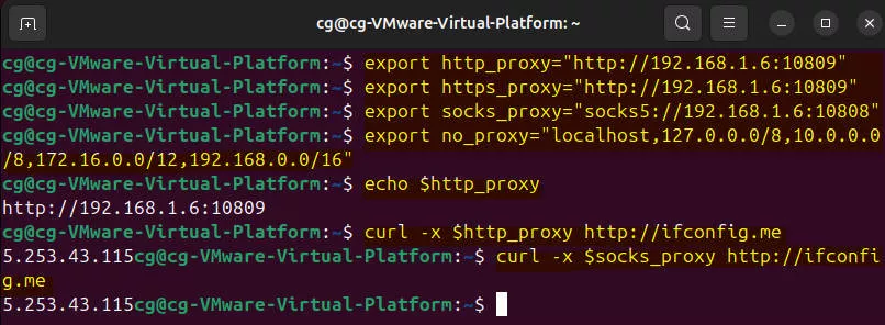 proxy for current terminal