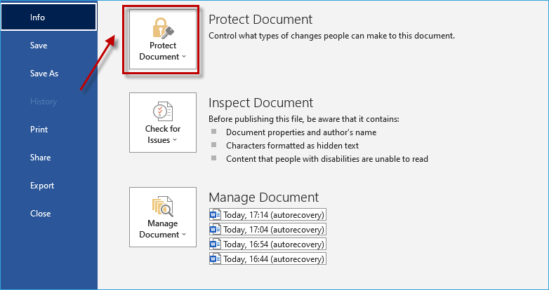 Choose Protect Document