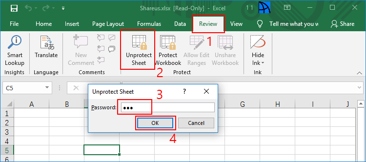 how to put password in excel file