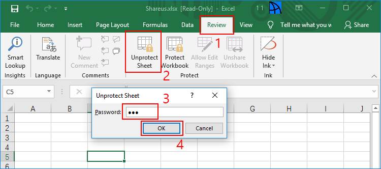 how to make excel file password protected and read only