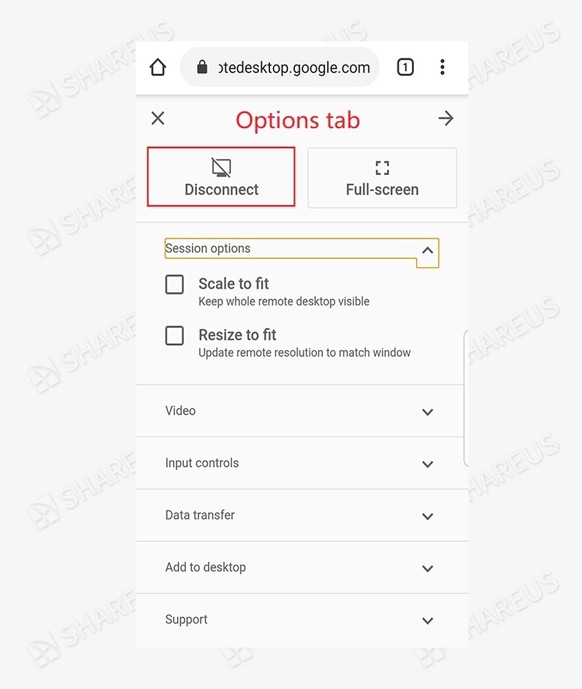 options of remote access