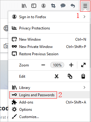 open saved login and passwords window