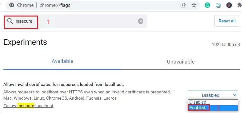 enable invalid certificates from localhost