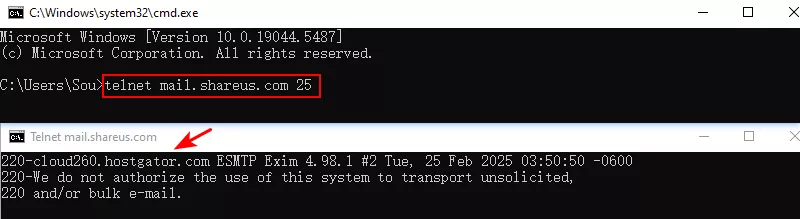 telnet command demo