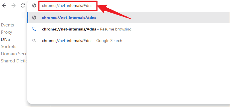 chrome net internals dns