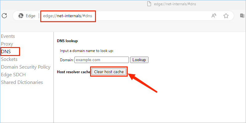 edge net internals dns clear host cache