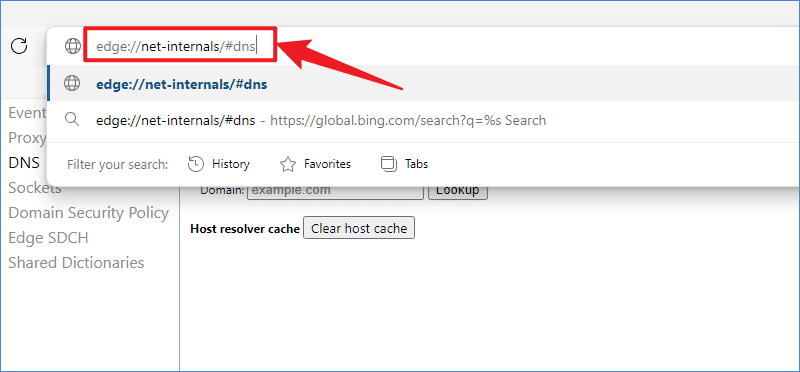 type edge dns clear address