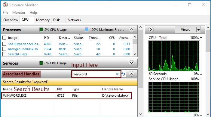 how to use process monitor to view file lock