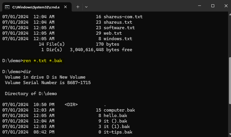 REN command demo Windows 11