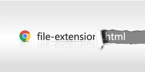 How to Enable Options to See File Extensions in Windows 11/10?