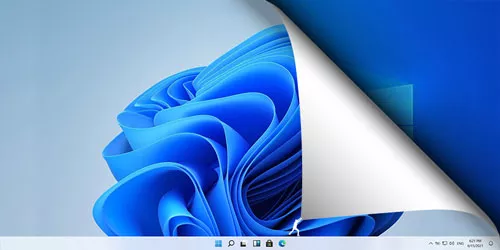 How to Revert Back to Windows 10 form Windows 11