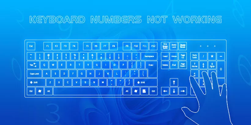 keyboard-numbers-not-working-here-s-the-system-setting-for-windows7